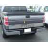 imageMade in USA Compatible with 20042014 Ford F150 Tailgate Overlay Trim with Ford Chrome Stainless Steel Molding Moulding Trim Accent 6 14 Wide 4PC