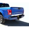 imageTyger Auto Made in USA Compatible with 20152018 Ford F150 Lower Tailgate Plain Trim 4 12 1PC